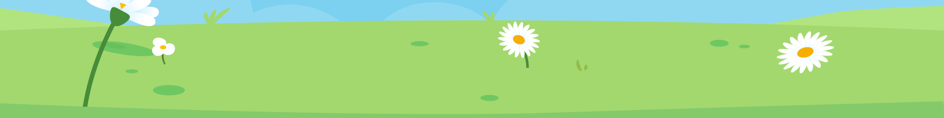 Spring Special Sale