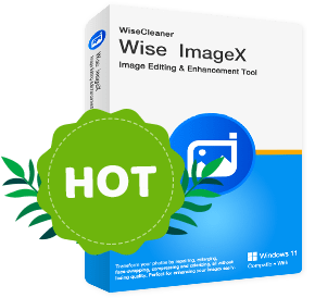 Wise ImageX