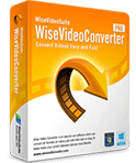 wise video converter