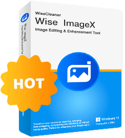 Wise ImageX