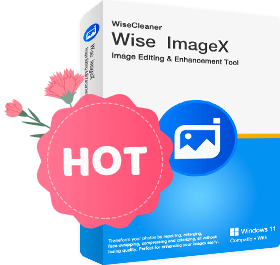 Wise ImageX