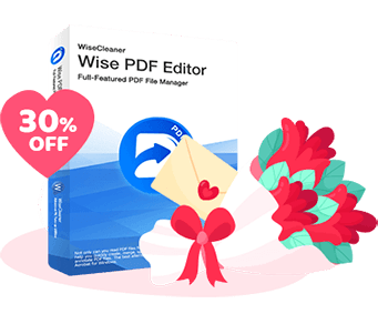 wise pdf editor box