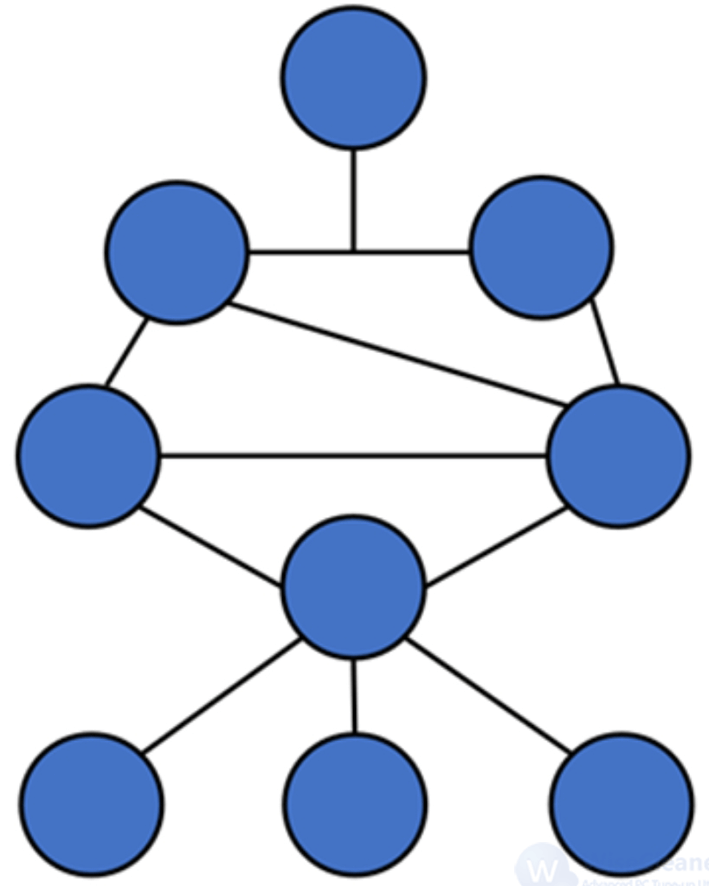 Hybrid mesh topology network 