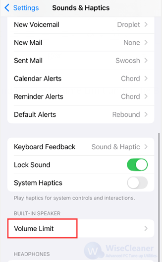 Tap the Volume Limit under the Built-in Speaker section. 